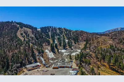 6230 Penguin, Wrightwood, CA 92397 - Photo 27