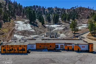 6230 Penguin, Wrightwood, CA 92397 - Photo 29