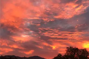 35109 Hwy 79, Warner Springs, CA 92086 - Photo 35