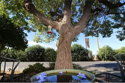 2230 Lake Park #207, San Jacinto, CA 92583 - Photo 15