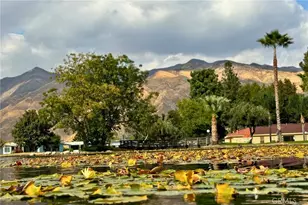 2230 Lake Park, San Jacinto, CA 92583 - Photo 19