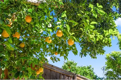 32097 Cala Gerona, Temecula, CA 92592 - Photo 39