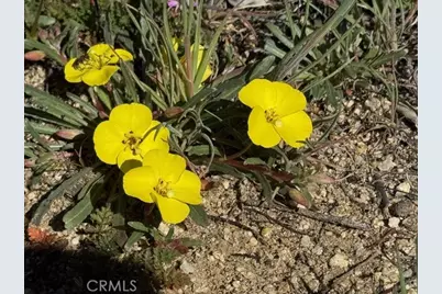 54740 Cave Rock Road, Anza, CA 92539 - Photo 43