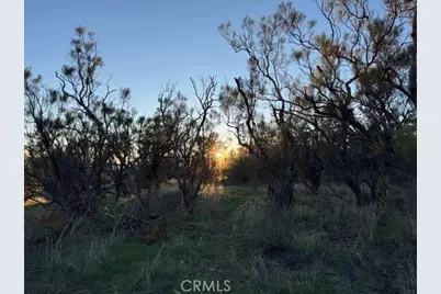 54740 Cave Rock Road, Anza, CA 92539 - Photo 17