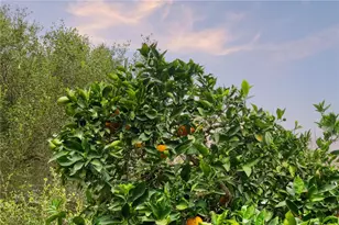 665 Norwynn Ln, Fallbrook, CA 92028 - Photo 37