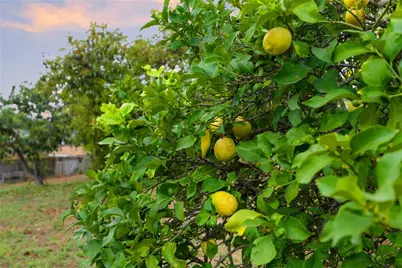 665 Norwynn Lane, Fallbrook, CA 92028 - Photo 41