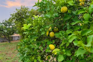 665 Norwynn Ln, Fallbrook, CA 92028 - Photo 41