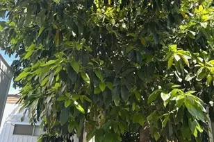 42751 E Florida Ave, Hemet, CA 92544 - Photo 13