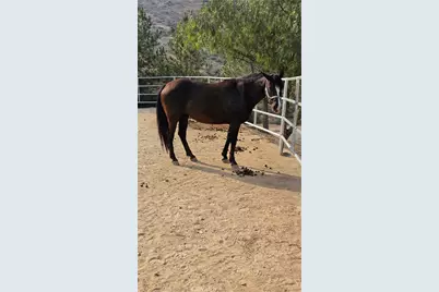 32360 Navajo Springs, Wildomar, CA 92595 - Photo 13