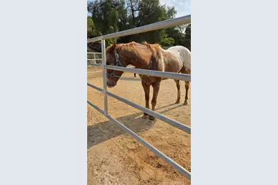 32360 Navajo Springs, Wildomar, CA 92595 - Photo 11