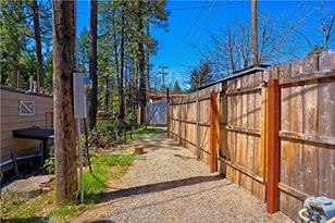 25955 Hwy 243, Idyllwild, CA 92549 - Photo 23
