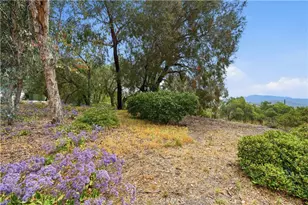 375 Woodland Hills Dr, Escondido, CA 92029 - Photo 67