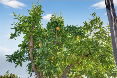 2218 Redwood Drive, Hemet, CA 92545 - Photo 35