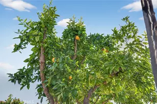 2218 Redwood Dr, Hemet, CA 92545 - Photo 35