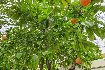 39592 Cardiff Avenue, Murrieta, CA 92563 - Photo 59