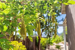 36220 Madora Dr, Wildomar, CA 92595 - Photo 35