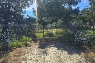 57313 Holland Ln, Anza, CA 92539 - Photo 17