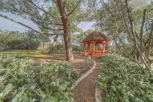 37440 Old Forest, Anza, CA 92539 - Photo 65