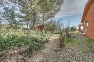 37440 Old Forest, Anza, CA 92539 - Photo 69