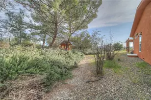 37440 Old Forest, Anza, CA 92539 - Photo 69