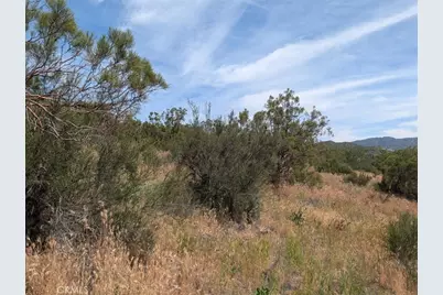 37120 Woodview, Anza, CA 92539 - Photo 13