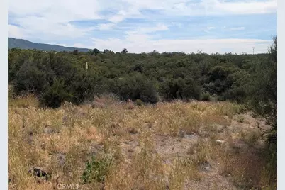 37120 Woodview, Anza, CA 92539 - Photo 11