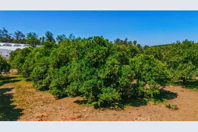 8258 Via Urner Way, Bonsall, CA 92003 - Photo 43