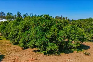 8258 Via Urner Way, Bonsall, CA 92003 - Photo 43