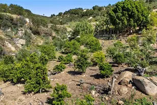 38942 Jubilee Way, Fallbrook, CA 92028 - Photo 43