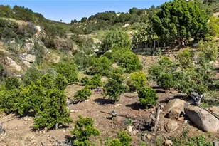 38942 Jubilee Way, Fallbrook, CA 92028 - Photo 43