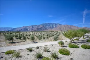 798 Flamingo Way, Palm Springs, CA 92262 - Photo 31