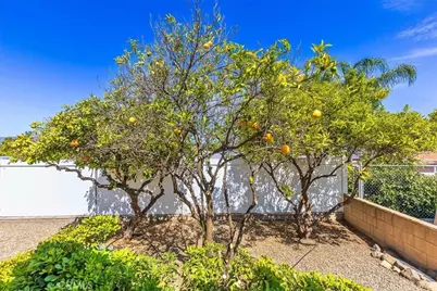 34197 Olive Grove, Wildomar, CA 92595 - Photo 35