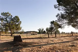 39396 Cary, Anza, CA 92539 - Photo 29