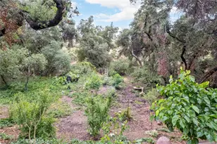 42185 Oak Canyon, Hemet, CA 92544 - Photo 21