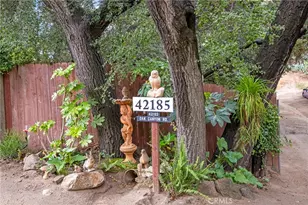 42185 Oak Canyon, Hemet, CA 92544 - Photo 41