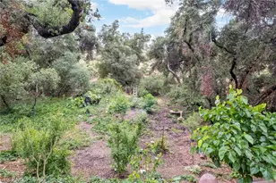 42185 Oak Canyon, Hemet, CA 92544 - Photo 21
