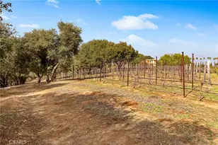 3221 Integrity, Fallbrook, CA 92028 - Photo 71
