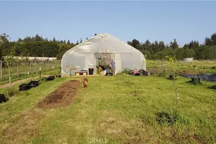 4415 Woods Ln, McKinleyville, CA 95519 - Photo 51