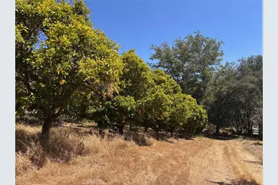26055 Avenida Del Oro, Temecula, CA 92590 - Photo 33
