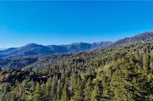 25121 Banning Idyllwild, Idyllwild, CA 92549 - Photo 39