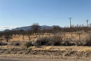 41854 Silver Valley, Newberry Springs, CA 92365 - Photo 13