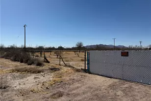 41854 Silver Valley, Newberry Springs, CA 92365 - Photo 3