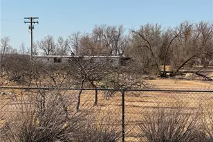 41854 Silver Valley, Newberry Springs, CA 92365 - Photo 17