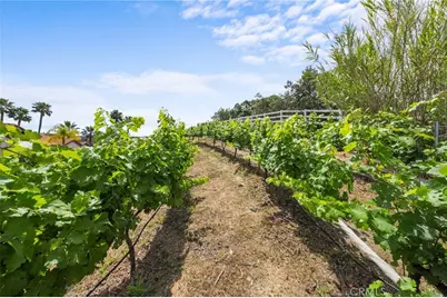 42371 Via De Los Fideos, Temecula, CA 92590 - Photo 11