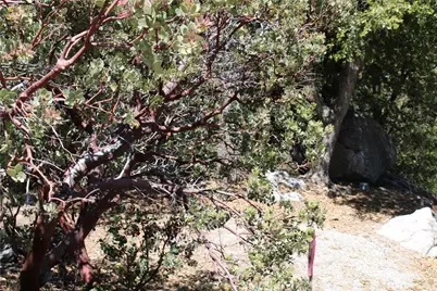 8 Big Rock Drive, Idyllwild, CA 92549 - Photo 9