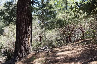 8 Big Rock Drive, Idyllwild, CA 92549 - Photo 15