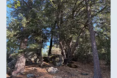 8 Big Rock Drive, Idyllwild, CA 92549 - Photo 29