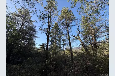 8 Big Rock Drive, Idyllwild, CA 92549 - Photo 31