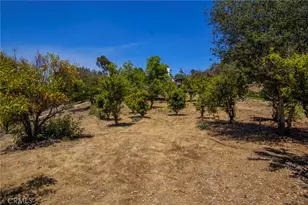 42525 Calle Capistrano, Temecula, CA 92590 - Photo 55