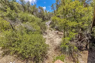 25360 Green Oaks Ct, Idyllwild, CA 92549 - Photo 59